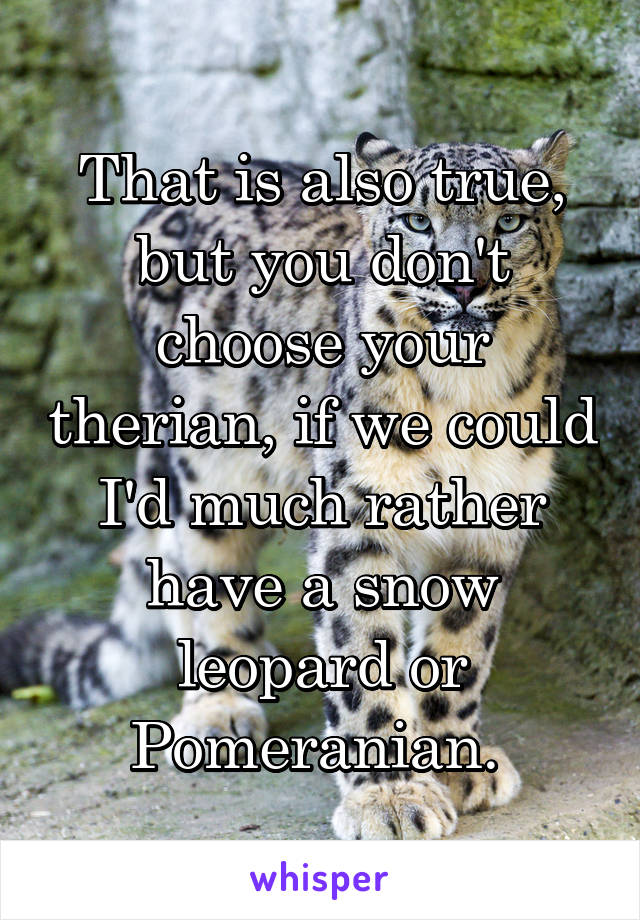 That is also true, but you don't choose your therian, if we could I'd much rather have a snow leopard or Pomeranian. 