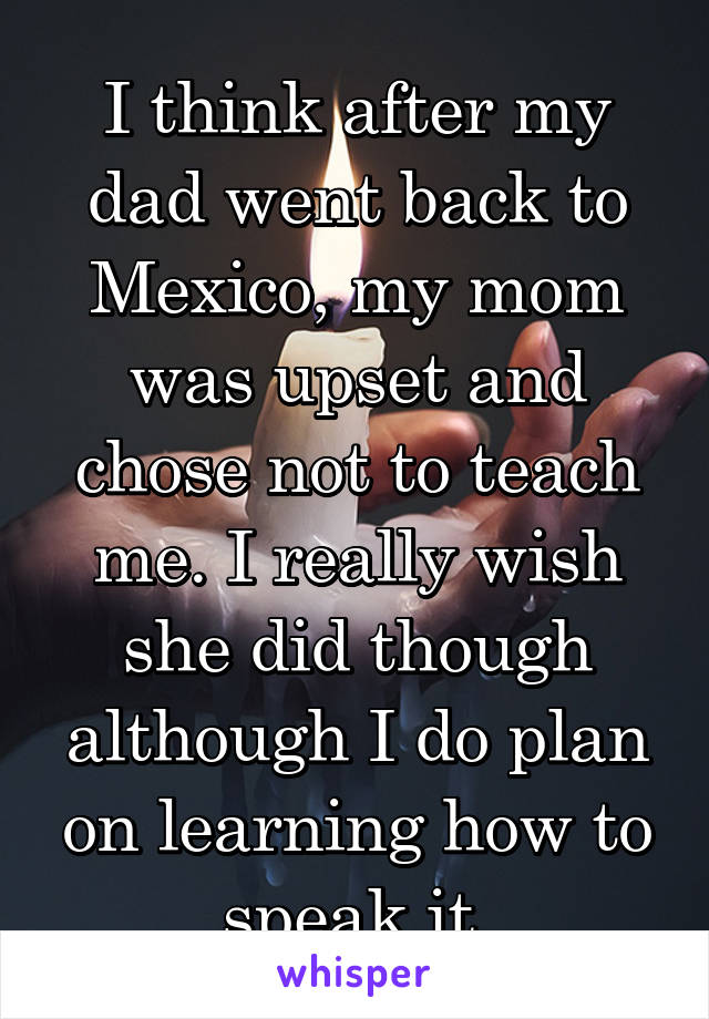 I think after my dad went back to Mexico, my mom was upset and chose not to teach me. I really wish she did though although I do plan on learning how to speak it.
