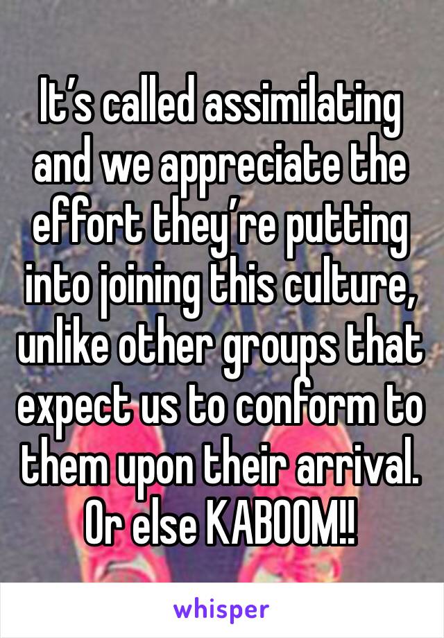 It’s called assimilating and we appreciate the effort they’re putting into joining this culture, unlike other groups that expect us to conform to them upon their arrival. Or else KABOOM!!