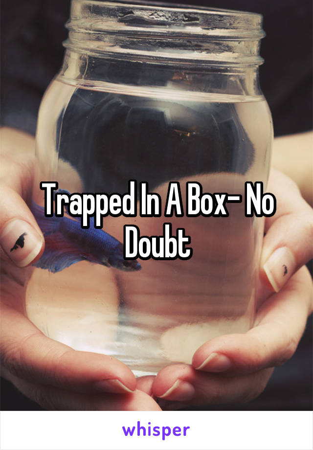 Trapped In A Box- No Doubt