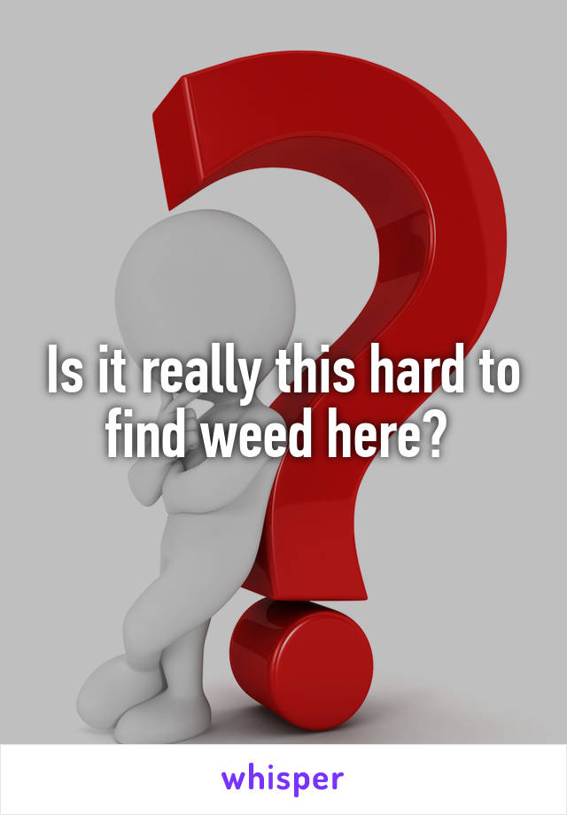 Is it really this hard to find weed here? 