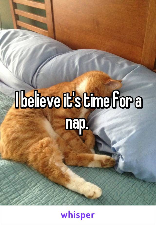 I believe it's time for a nap. 