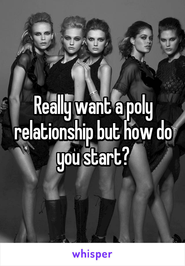 Really want a poly relationship but how do you start?