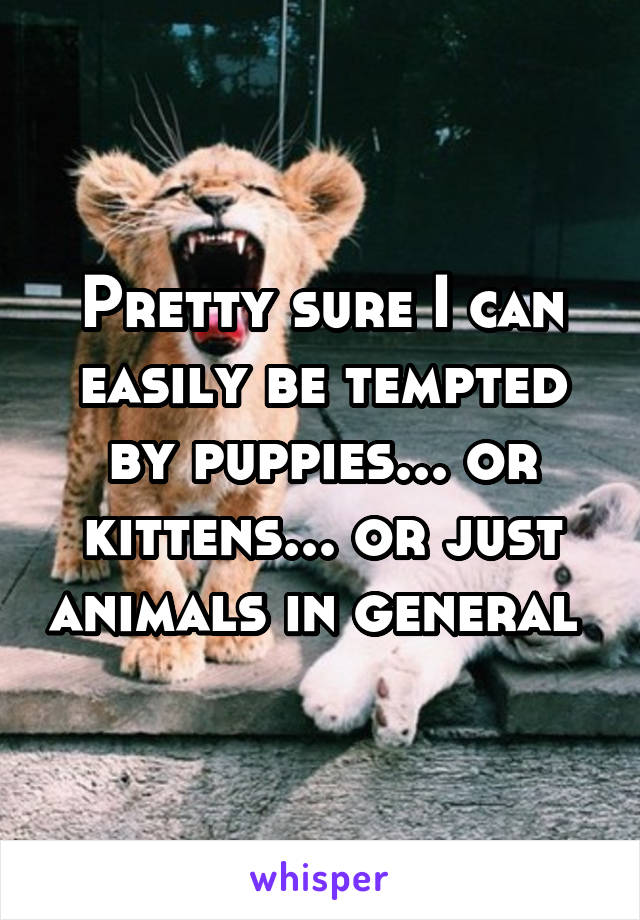 Pretty sure I can easily be tempted by puppies... or kittens... or just animals in general 