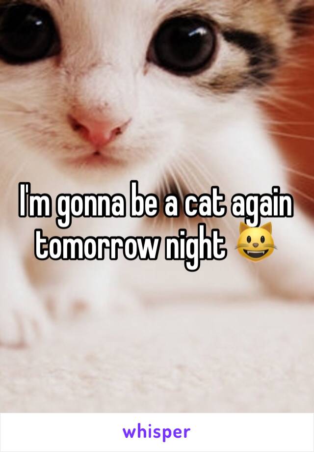 I'm gonna be a cat again tomorrow night 😺