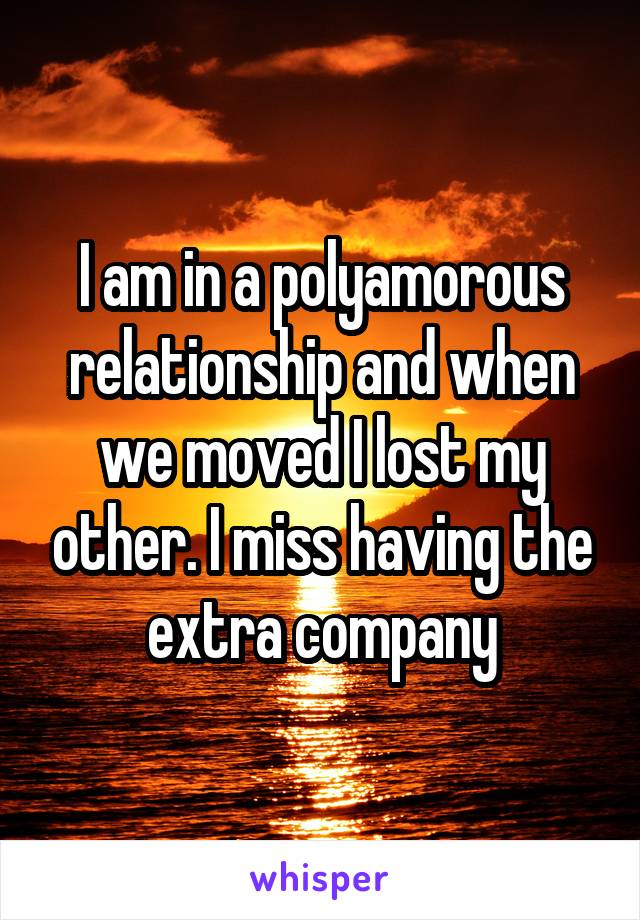 I am in a polyamorous relationship and when we moved I lost my other. I miss having the extra company