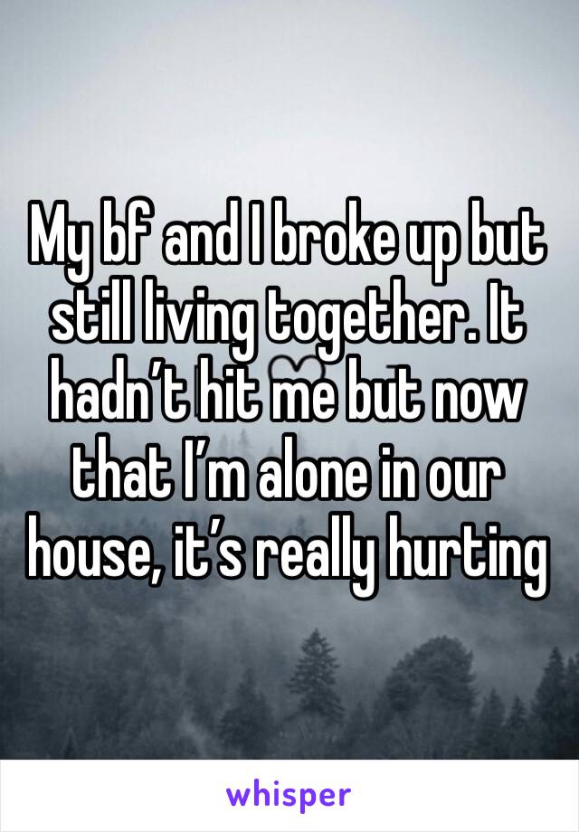 My bf and I broke up but still living together. It hadn’t hit me but now that I’m alone in our house, it’s really hurting
