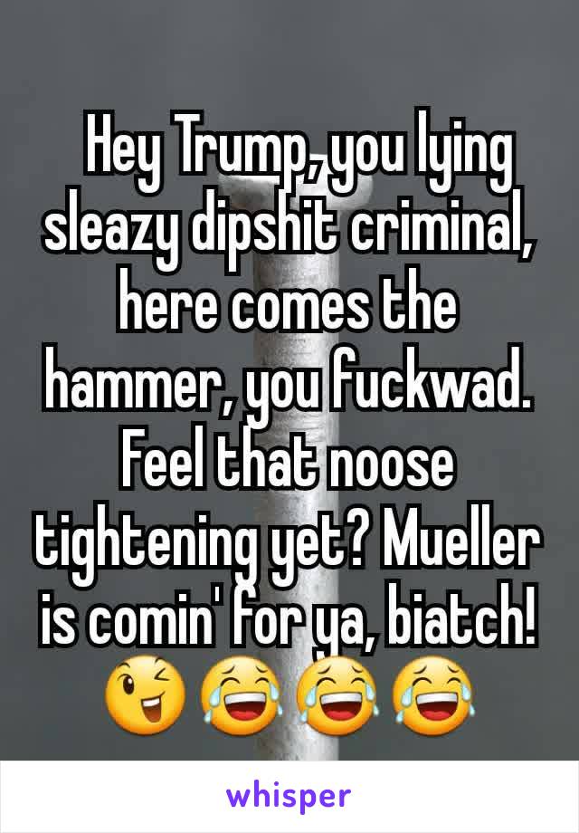   Hey Trump, you lying sleazy dipshit criminal, here comes the hammer, you fuckwad.
Feel that noose tightening yet? Mueller is comin' for ya, biatch!
😉😂😂😂