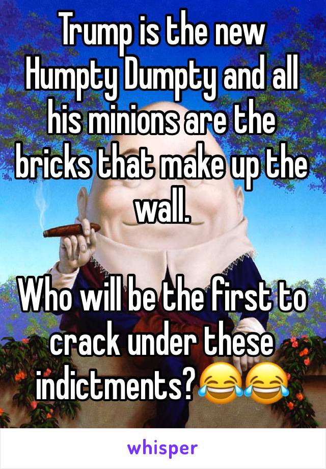 Trump is the new Humpty Dumpty and all his minions are the bricks that make up the wall.

Who will be the first to crack under these indictments?😂😂
