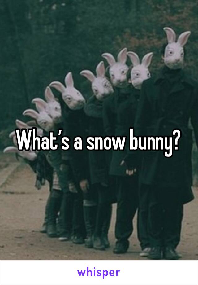 What’s a snow bunny?