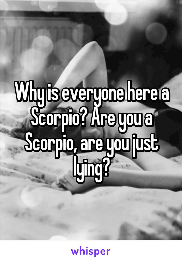Why is everyone here a Scorpio? Are you a Scorpio, are you just lying?