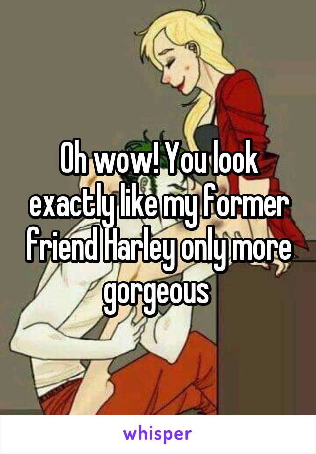 Oh wow! You look exactly like my former friend Harley only more gorgeous 
