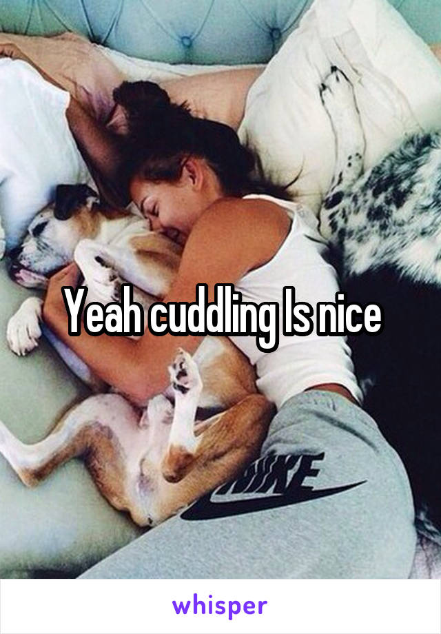 Yeah cuddling Is nice