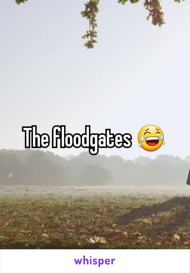 The floodgates 😂