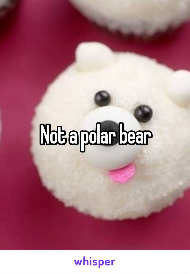 Not a polar bear