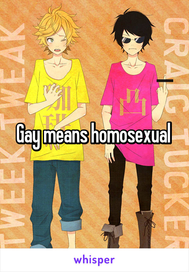 Gay means homosexual 