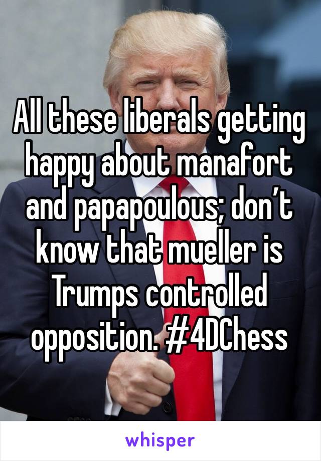 All these liberals getting happy about manafort and papapoulous; don’t know that mueller is Trumps controlled opposition. #4DChess