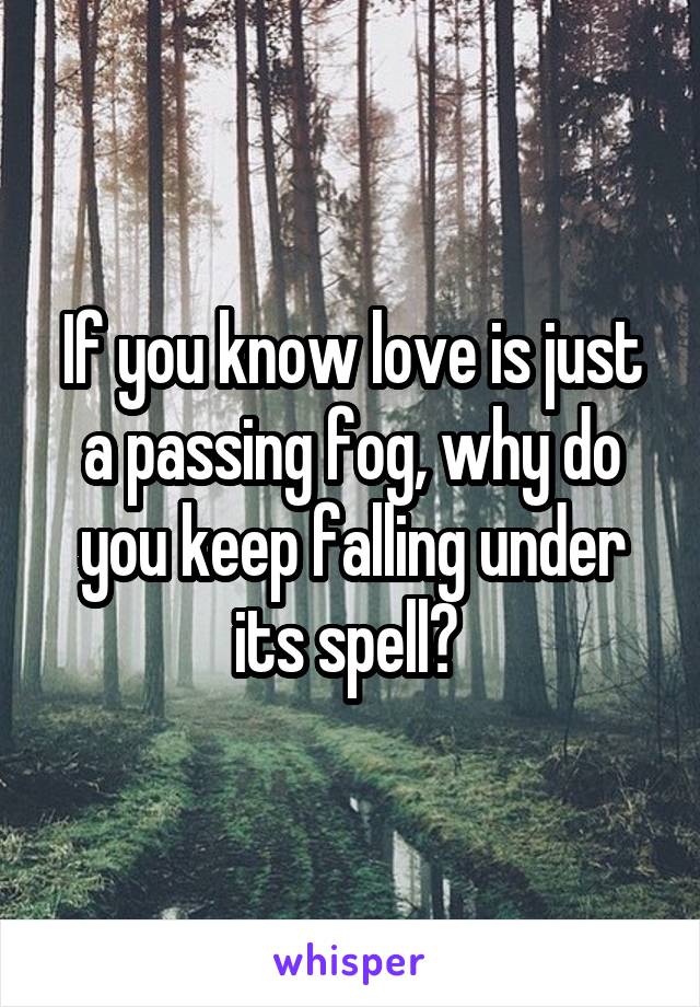 If you know love is just a passing fog, why do you keep falling under its spell? 