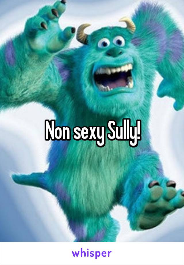 Non sexy Sully!