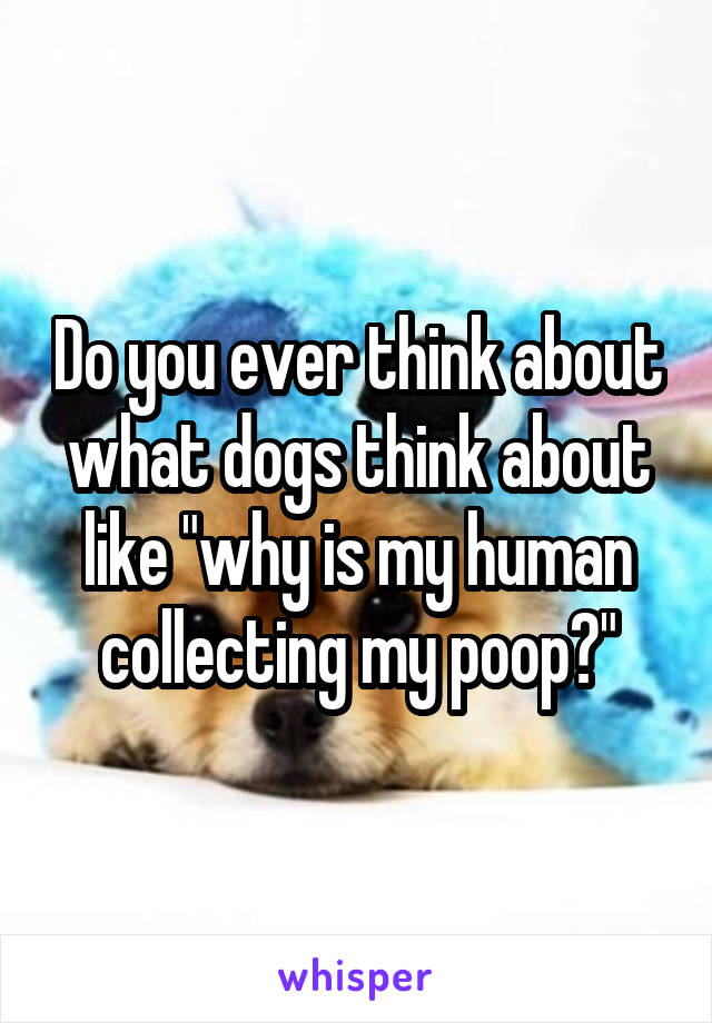 Do you ever think about what dogs think about like "why is my human collecting my poop?"