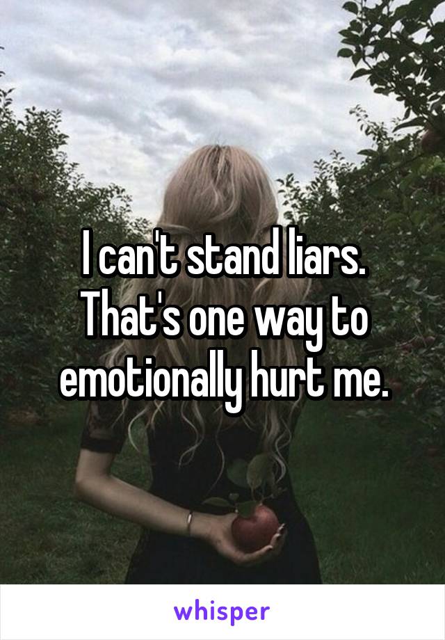 I can't stand liars. That's one way to emotionally hurt me.