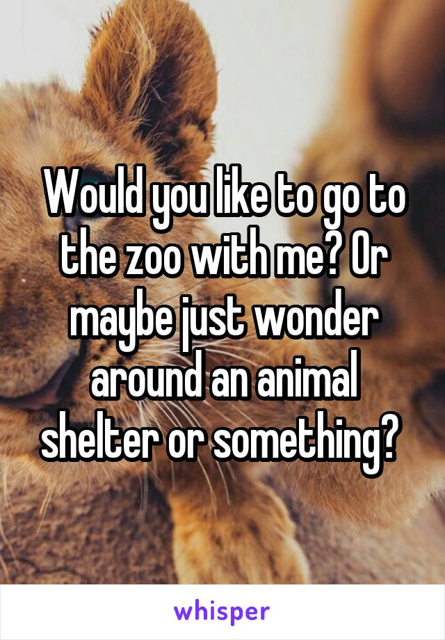 Would you like to go to the zoo with me? Or maybe just wonder around an animal shelter or something? 