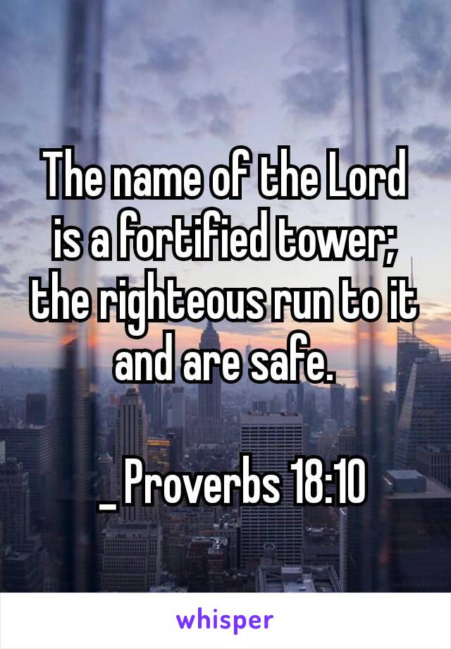 The name of the Lord is a fortified tower;
the righteous run to it and are safe.

 _ Proverbs 18:10