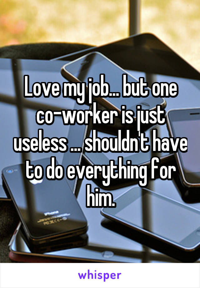 Love my job... but one co-worker is just useless ... shouldn't have to do everything for him.