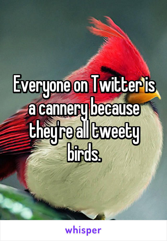 Everyone on Twitter is a cannery because they're all tweety birds.