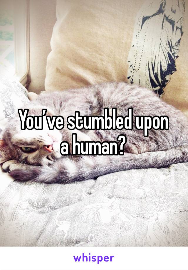 You’ve stumbled upon a human? 