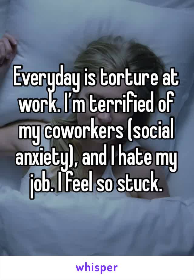 Everyday is torture at work. I’m terrified of my coworkers (social anxiety), and I hate my job. I feel so stuck.