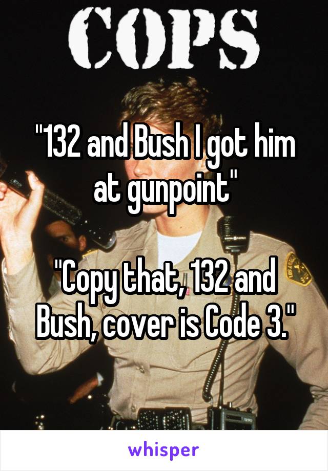 "132 and Bush I got him at gunpoint"

"Copy that, 132 and Bush, cover is Code 3."