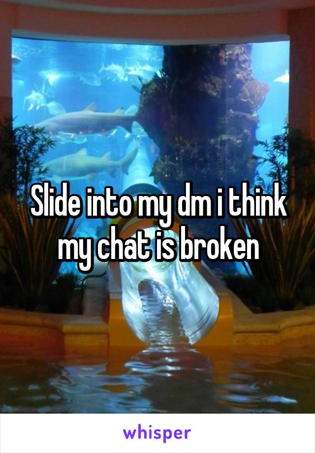 Slide into my dm i think my chat is broken
