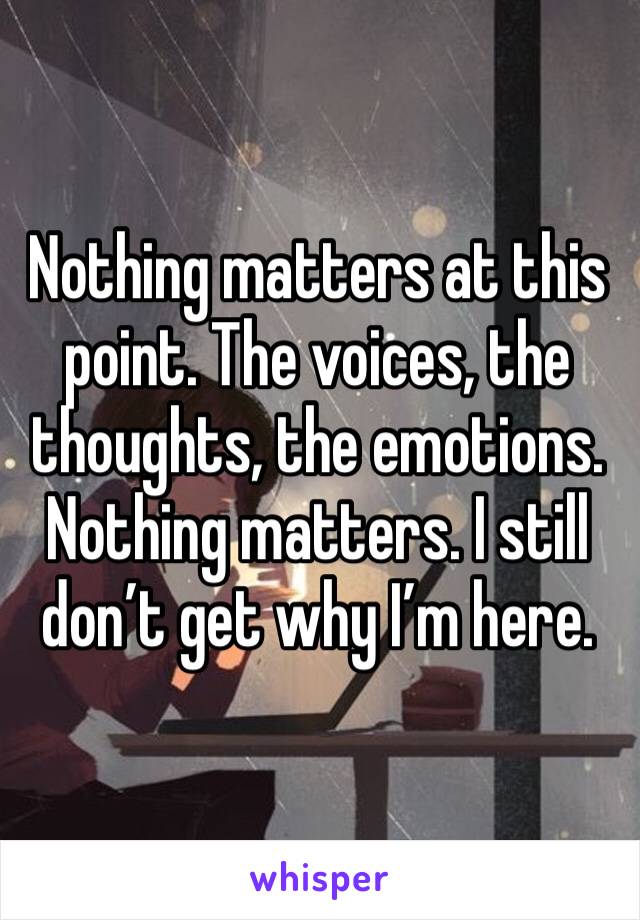 Nothing matters at this point. The voices, the thoughts, the emotions. Nothing matters. I still don’t get why I’m here.