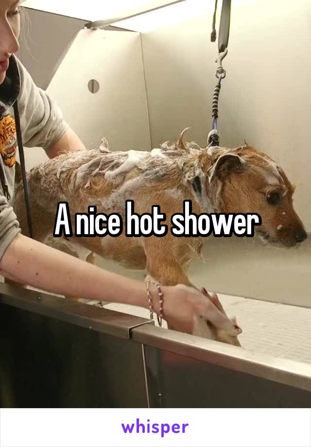 A nice hot shower