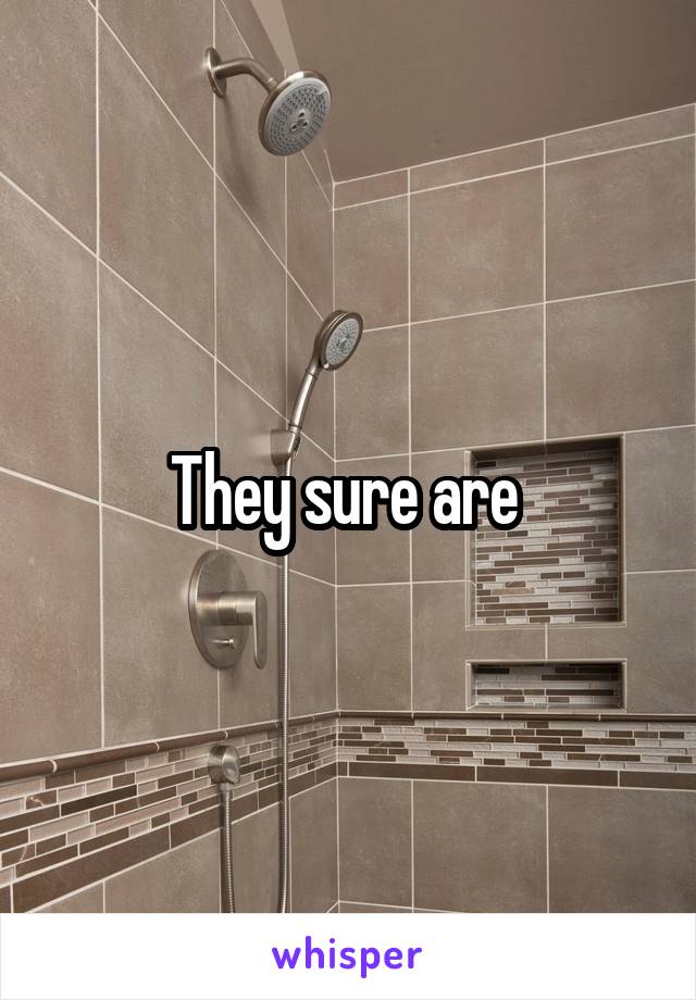 They sure are 