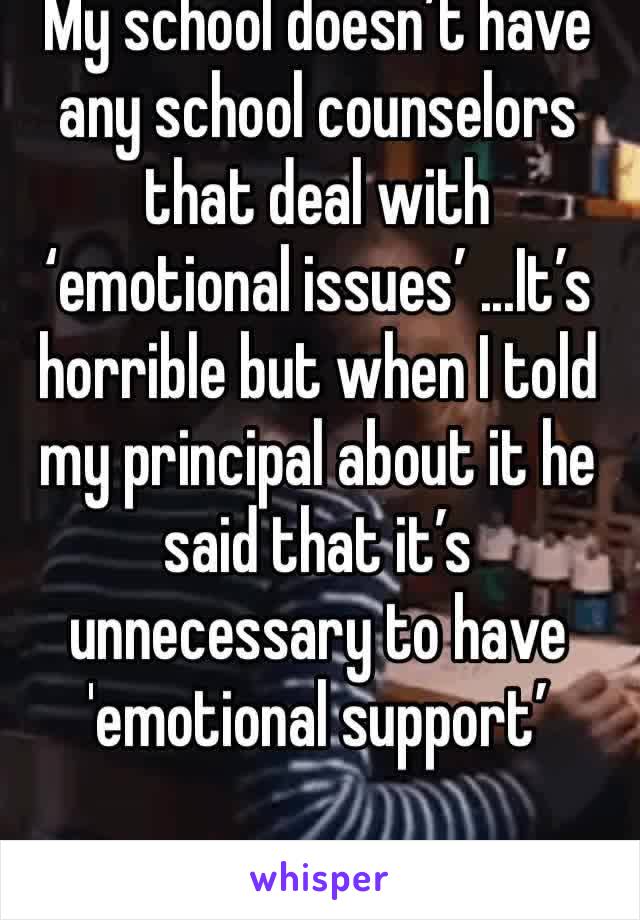 My school doesn’t have any school counselors that deal with ‘emotional issues’ ...It’s horrible but when I told my principal about it he said that it’s unnecessary to have 'emotional support’