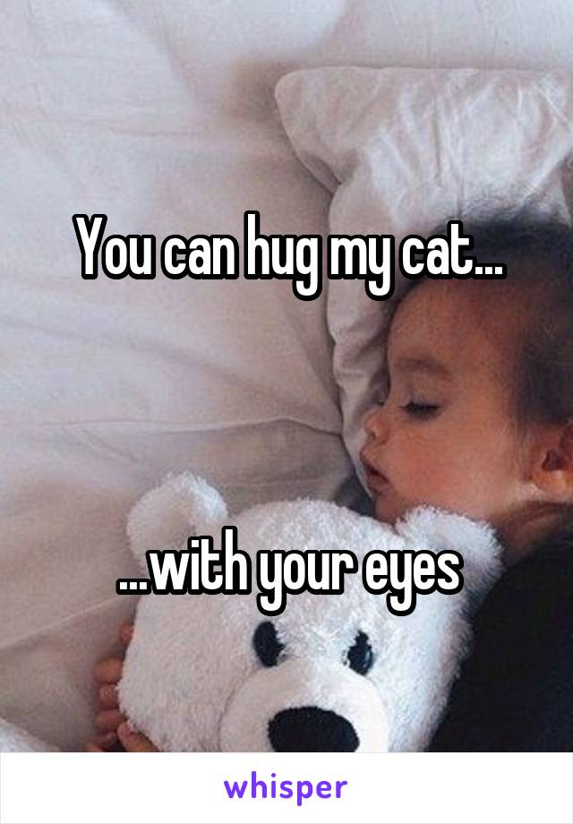 You can hug my cat...



...with your eyes