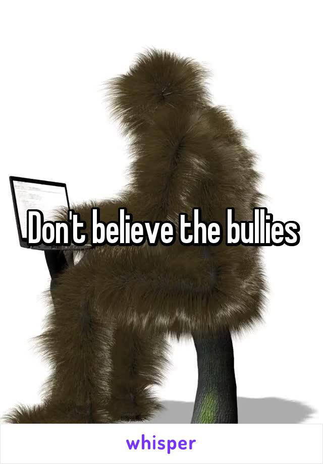 Don't believe the bullies