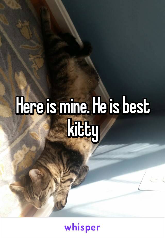 Here is mine. He is best kitty