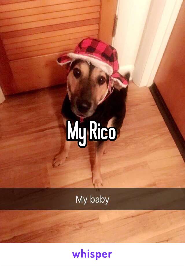My Rico 