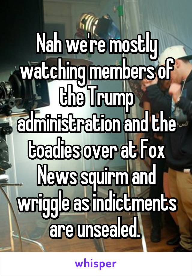 Nah we're mostly watching members of the Trump administration and the toadies over at Fox News squirm and wriggle as indictments are unsealed. 