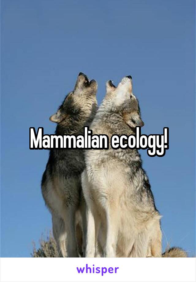 Mammalian ecology!