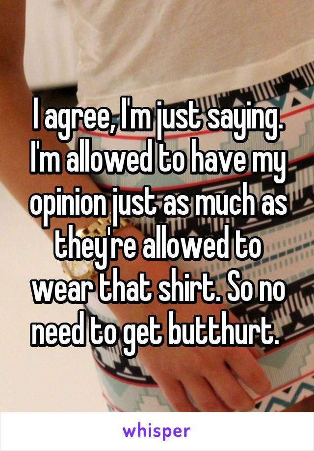 I agree, I'm just saying. I'm allowed to have my opinion just as much as they're allowed to wear that shirt. So no need to get butthurt. 