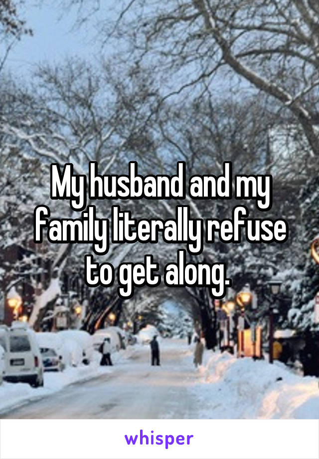 My husband and my family literally refuse to get along. 
