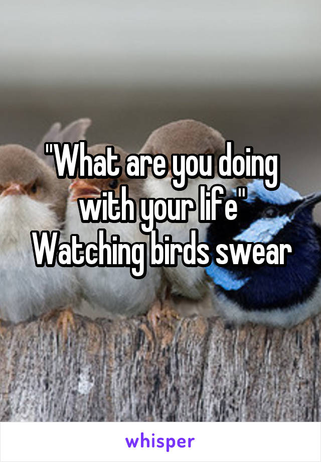 "What are you doing with your life"
Watching birds swear
