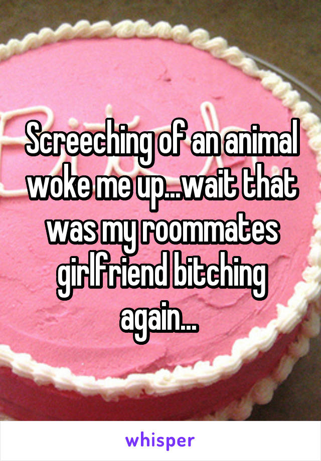 Screeching of an animal woke me up...wait that was my roommates girlfriend bitching again... 