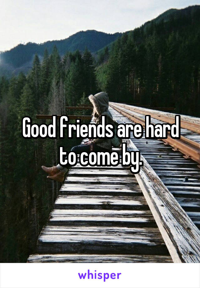 Good friends are hard to come by.