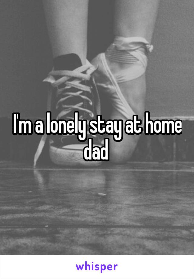 I'm a lonely stay at home dad 