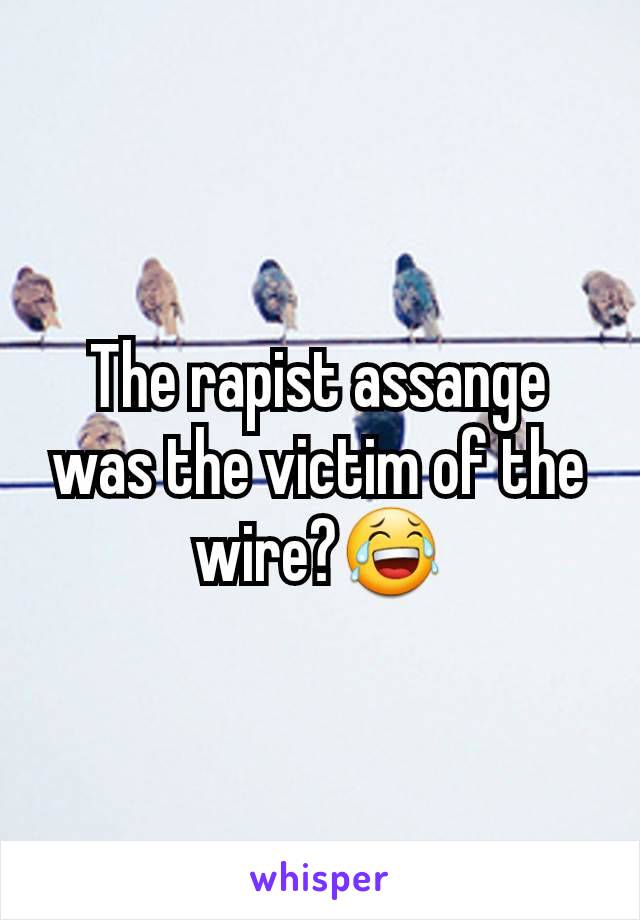 The rapist assange was the victim of the wire?😂